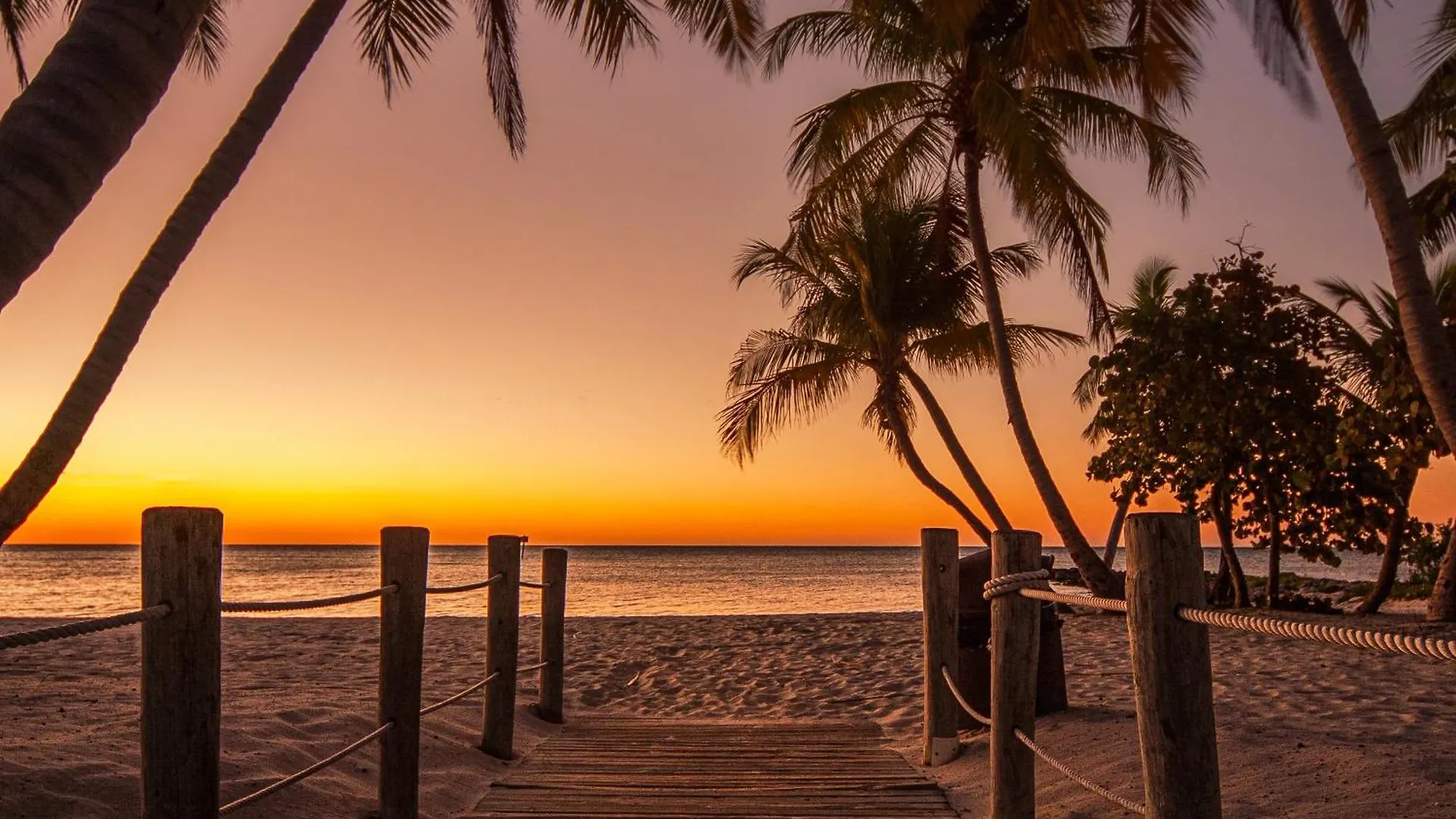 Apartment Sunrise Suites - Butterfly Nest #107 Key West United States